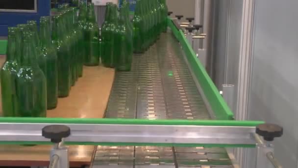 Movement of glass bottles — Stock Video