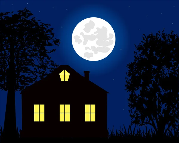 House in the night — Stock Vector