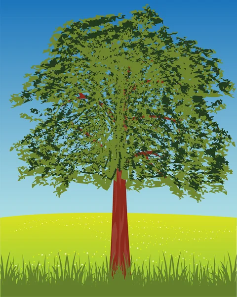 Árbol solitario en glade — Vector de stock