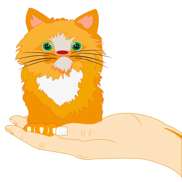 Chaton rousse sur la paume — Image vectorielle