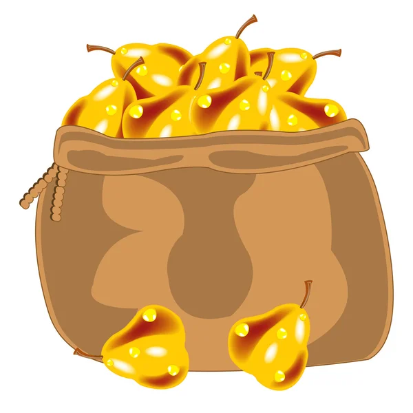 Poire jaune en sac — Image vectorielle