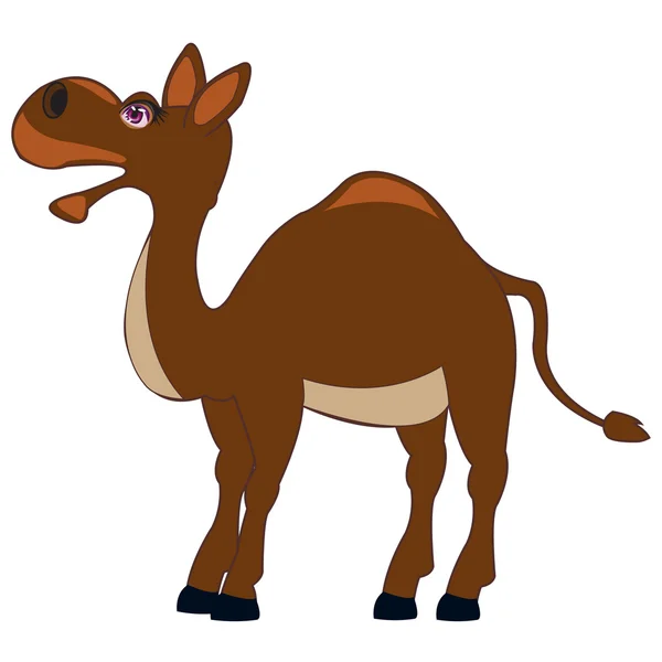 Huisdieren dier camel — Stockvector