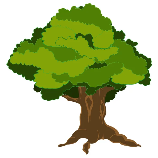 Yeşil yaprakları ile ağacı — Stok Vektör