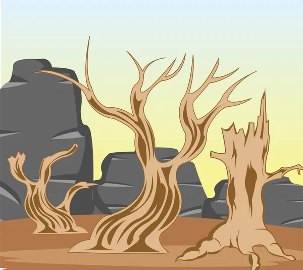 Vektor illusztráció sivatagok száraz fa és kő — Stock Vector