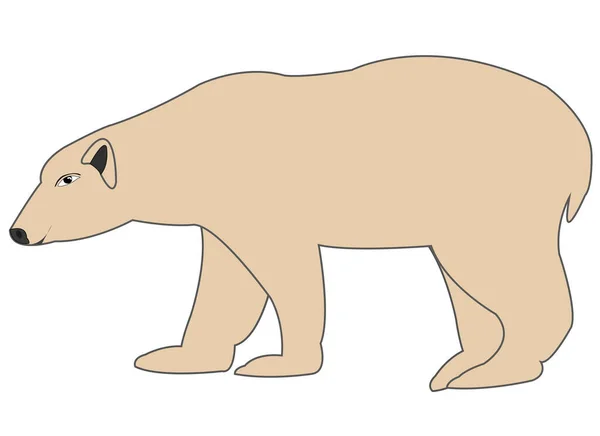 Faune type d'ours polaire du côté — Image vectorielle