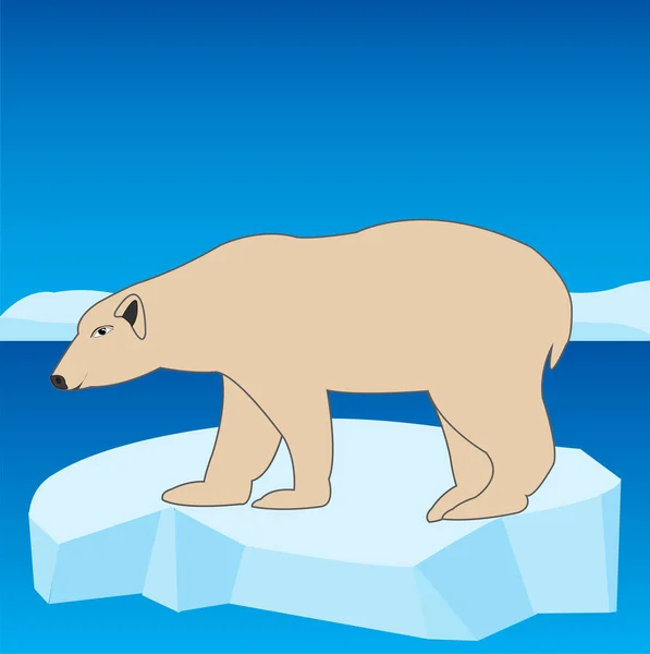 Animal polar bear on block of ice in ocean — Stock Vector