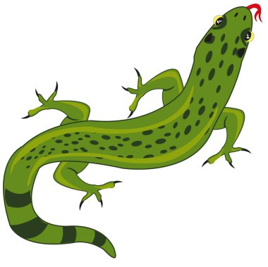 Vektör illüstrasyonu, sürünen hayvan kertenkelesi gibi.