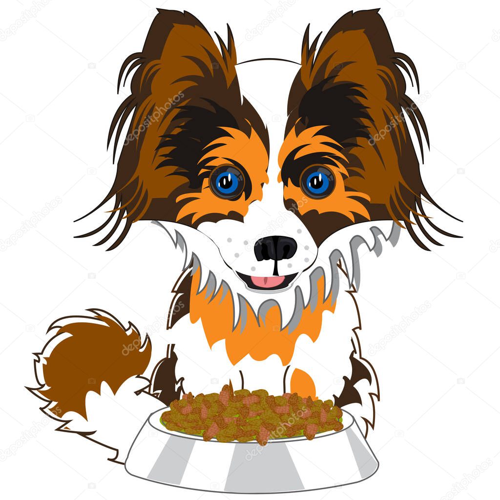 Home animal dog beside cups with meal