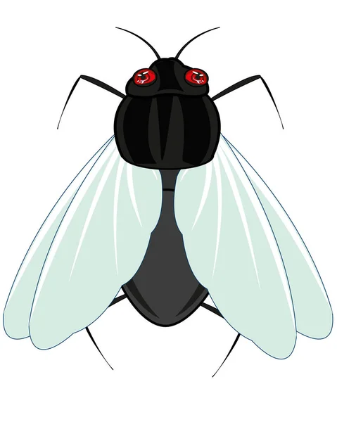 Mosca de insectos sobre fondo blanco está aislado — Vector de stock