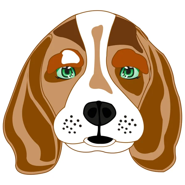 Dog beagle no fundo branco é isolado — Vetor de Stock