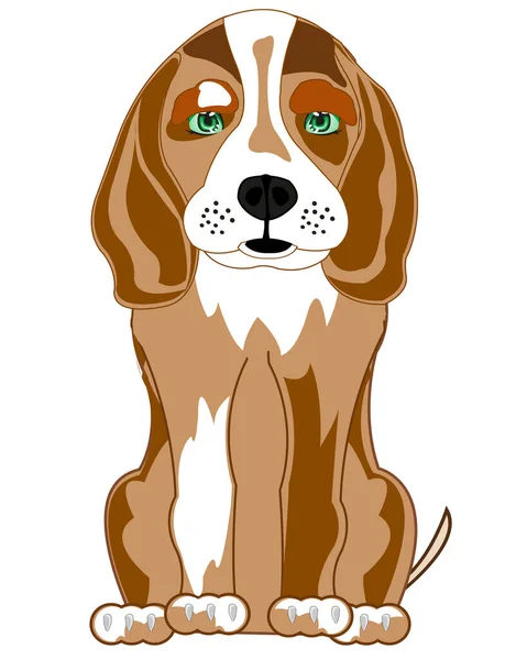 Zittende hond van het soort beagle cartoon — Stockvector