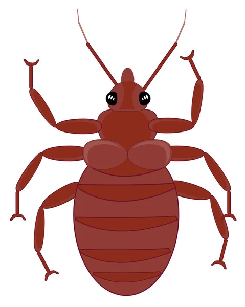 Malo insecto parásito pulga en el hogar animal — Vector de stock