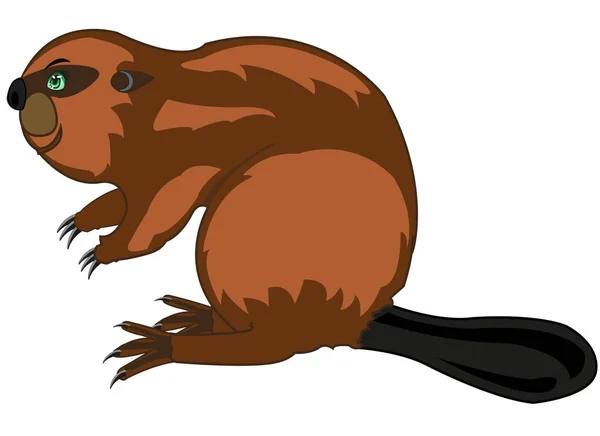 Wildlife beaver on white background is insulated — Stock Vector