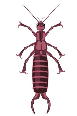 Beyaz arka plandaki böcek kulaklığı izole edilmiştir.