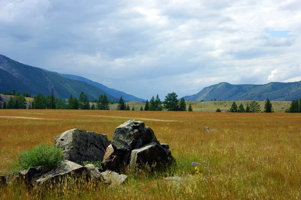 Alte montagne e radura con legno tutto il giorno — Foto Stock