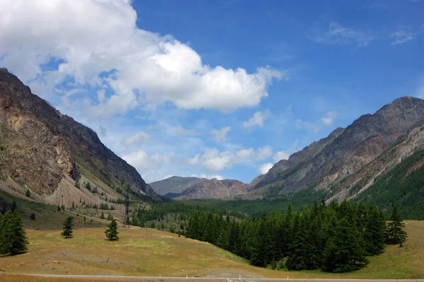 Paysage coloré lumineux des hautes montagnes et du bois — Photo