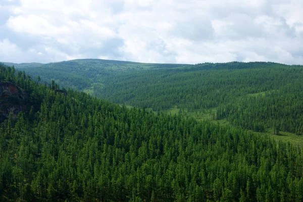 Paesaggio delle montagne coperte di legno durante il giorno — Foto Stock