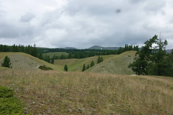 Kleurrijk jaarlandschap met berg en bos — Stockfoto