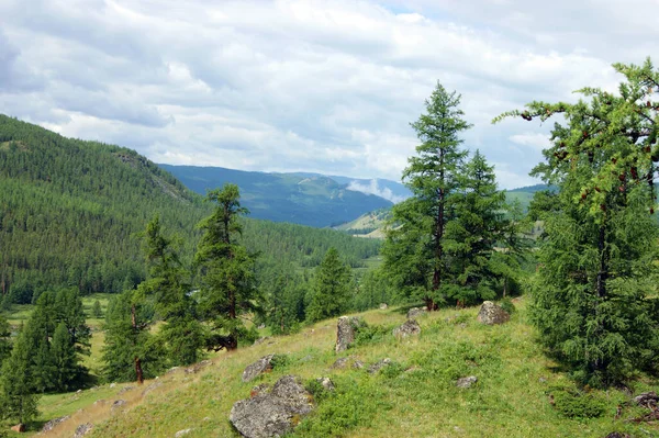 Dağlı ve odunlu renkli bir yıl manzarası — Stok fotoğraf