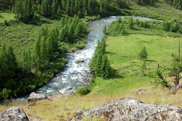 Tipo colorido en el río corneta y madera — Foto de Stock