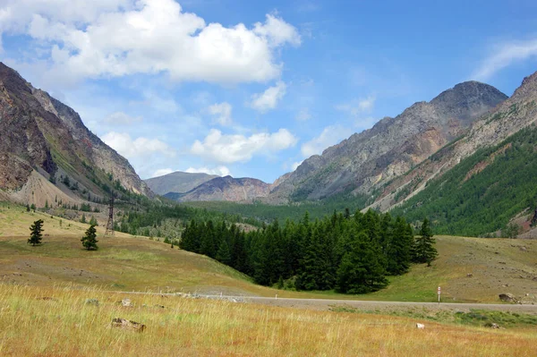 Kleurrijk jaarlandschap met berg en bos — Stockfoto