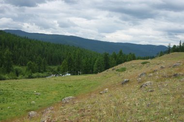 Dağlı ve odunlu renkli bir yıl manzarası