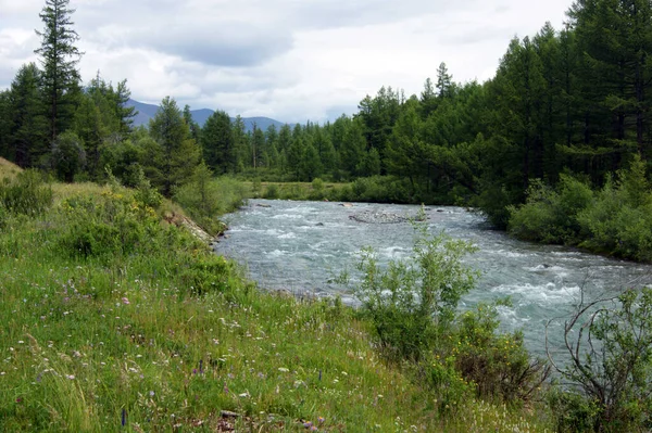 Tempestoso torrente di montagna in montagna entro l'estate — Foto Stock