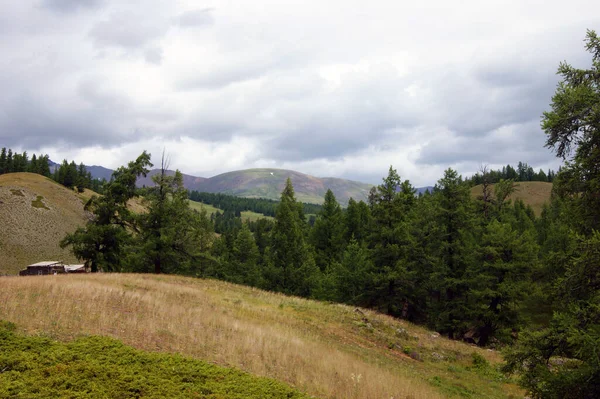 Vallei in de berg altai jaar overdag landschap — Stockfoto