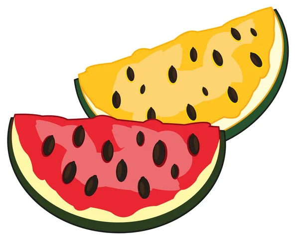 Vannmelonrøde skiver og etterlyste sorter – stockvektor