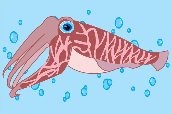 Dibujos animados de los calamares de sepia en el agua — Vector de stock