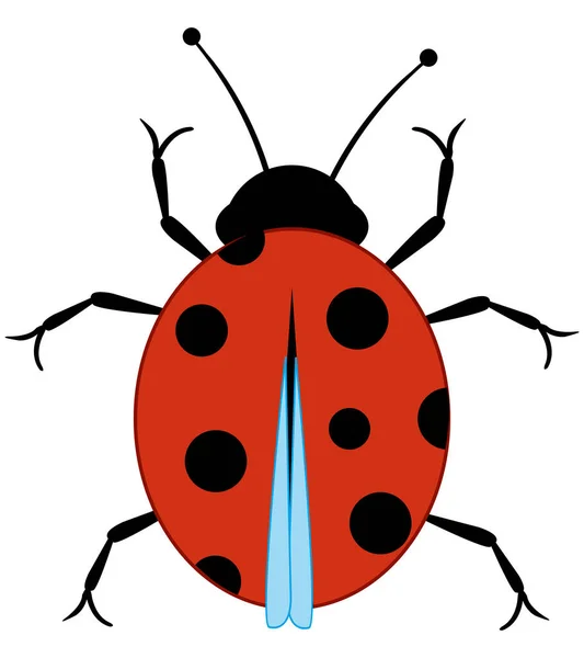 Malý krásný tečkovaný hmyz beruška typ overhand — Stockový vektor