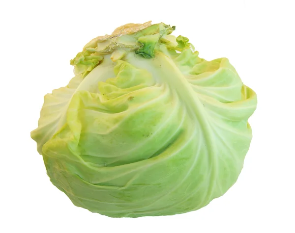 Cabbage on white — Stock Photo, Image