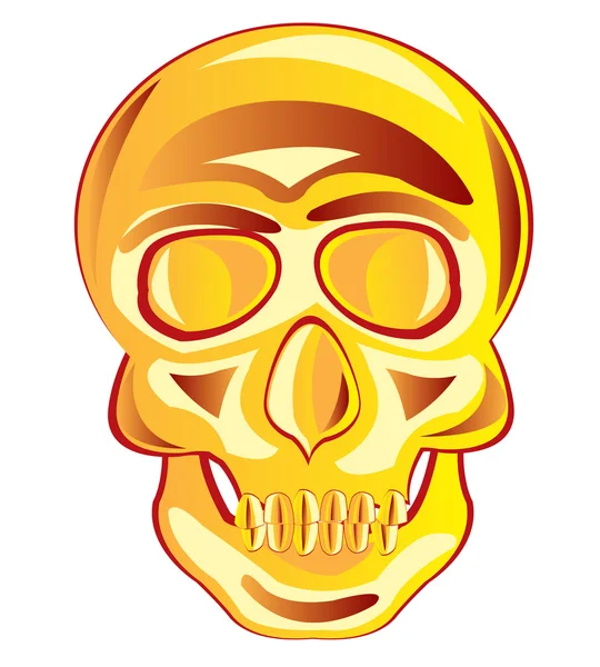 Golden skull — Stock Vector