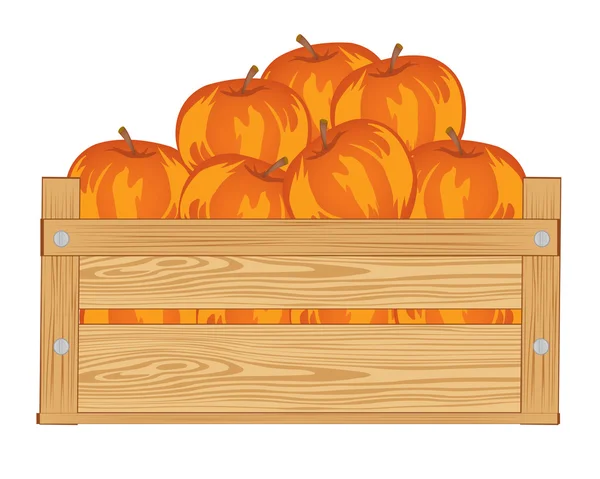 Apfelrot im Karton — Stockvektor