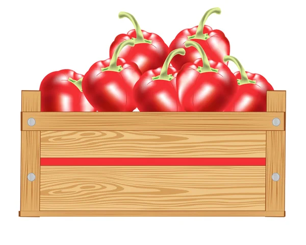 Pimienta roja en caja — Vector de stock