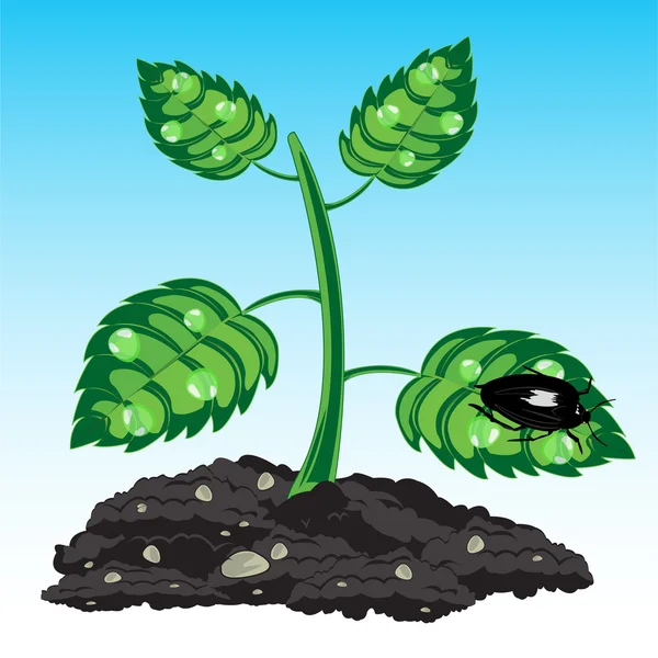 Саженцы растений — стоковый вектор