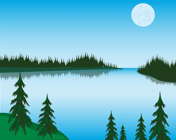 Jezero v lese — Stockový vektor