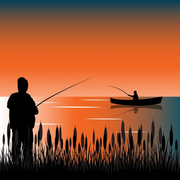 Bulrush en el lago — Vector de stock