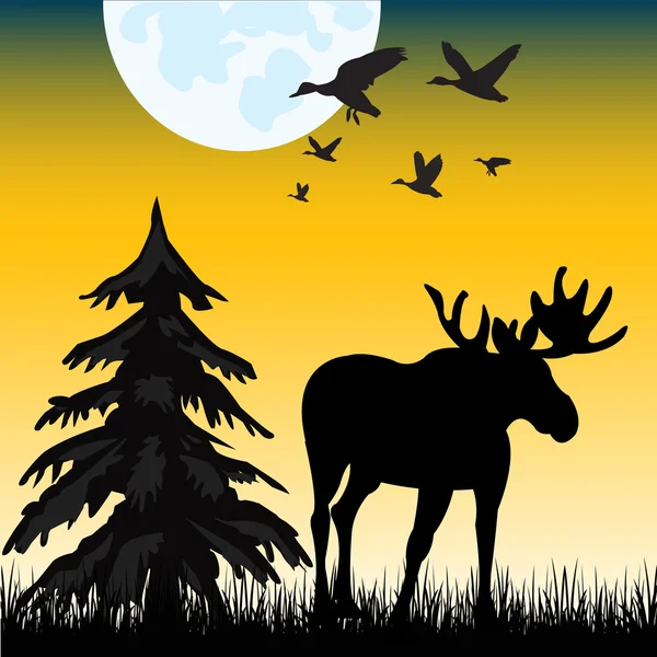 Moose on glade — Stock Vector