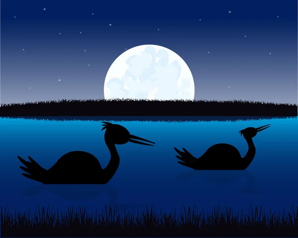 Paysage nocturne avec eau et oiseau — Image vectorielle