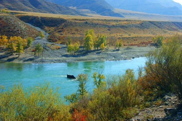Rivière à Bugle Altaï — Photo