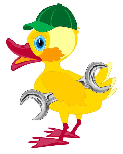 Şapkalı ve anahtar ördek yavrusu — Stok Vektör