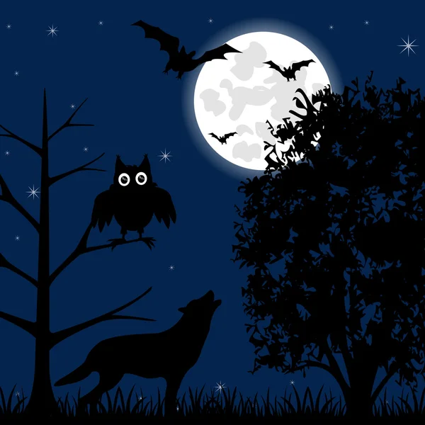 Cadılar Bayramı gecesi — Stok Vektör