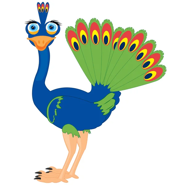 Cartoon van de vogel peacock — Stockvector