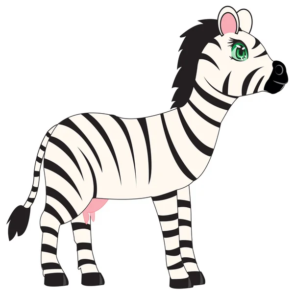 Zvířecí zebra na bílém pozadí — Stockový vektor