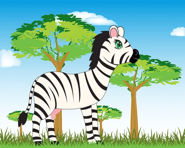 Zvířecí zebra v savannah — Stockový vektor