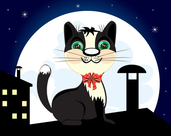 Gece çatıda kedi — Stok Vektör