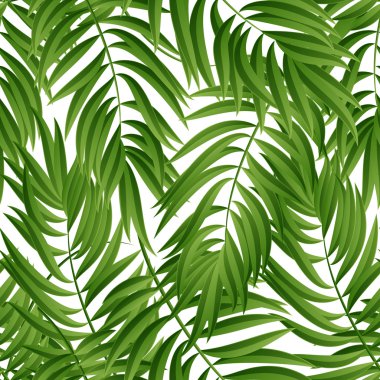 Tropical Palm leaves. Vector seamless