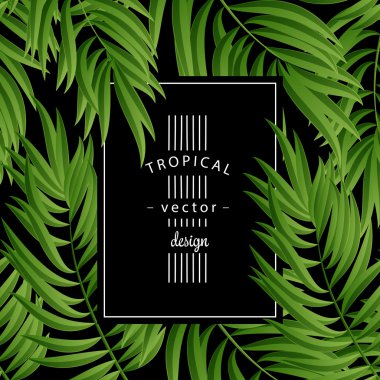 Tropical Palm leaves. Vector seamless