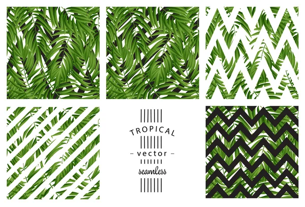 Hojas de palma tropical. Vector sin costura — Vector de stock